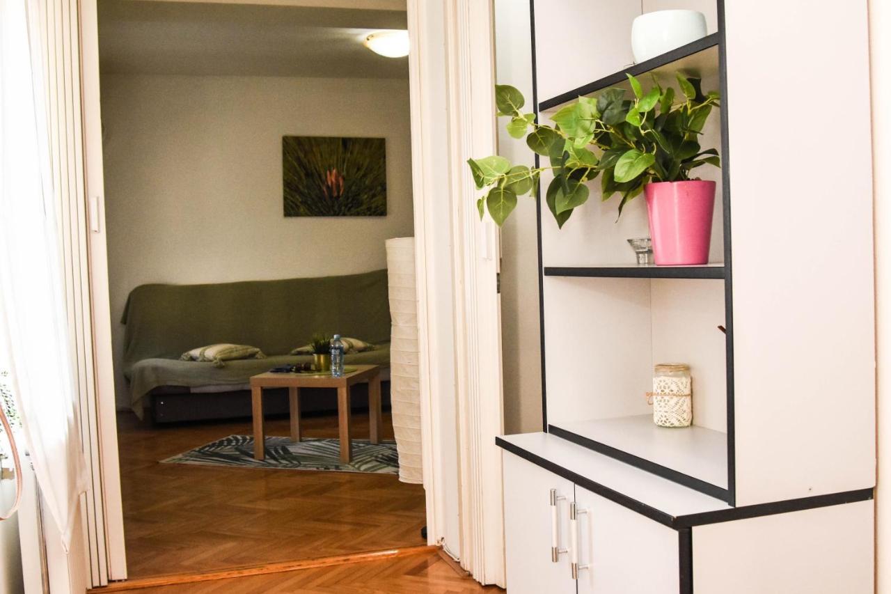 Apartment Kiwi 诺威萨 外观 照片