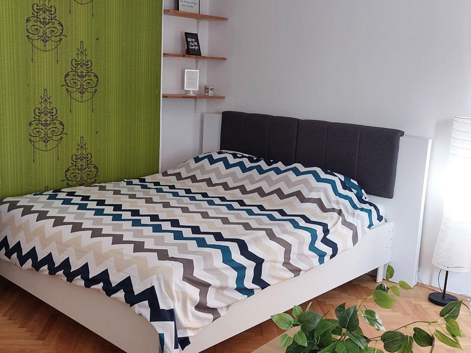 Apartment Kiwi 诺威萨 外观 照片